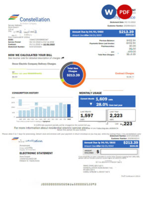 USA CONSTELLATION utility bill Word and PDF template