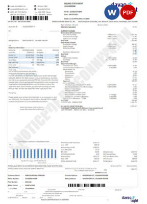 USA DAVAO LIGHT utility bill Word and PDF template