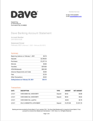 USA Dave Bank Account Statement Template in Word & PDF formats – 5 pages