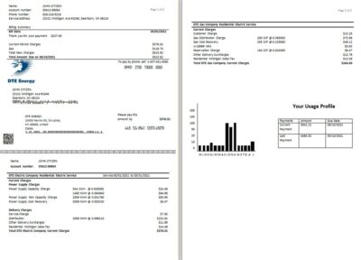 USA DTE Energy utility bill template in Word and PDF format (2 pages)