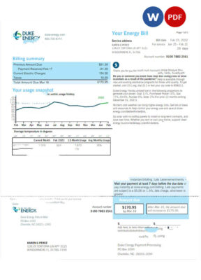 USA DUKE ENERGY utility bill Word and PDF template, version 2