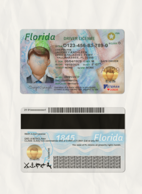 USA Florida driving license template in PSD format