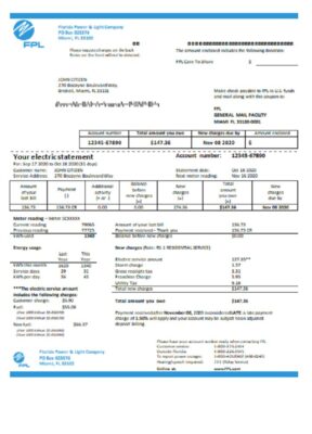 USA Florida Power & Light Company (FPL) electricity utility bill template in Word and PDF format