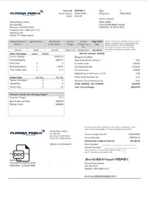 USA Florida Public Utilities utility bill template in Word and PDF format