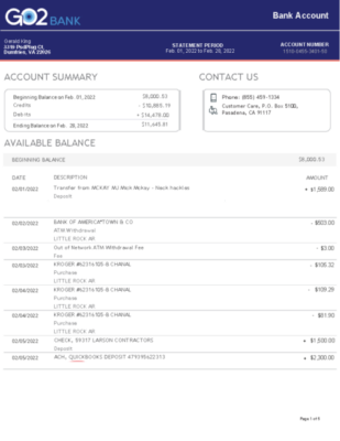 USA GO2Bank Account Statement Template in Word & PDF formats – 5 pages