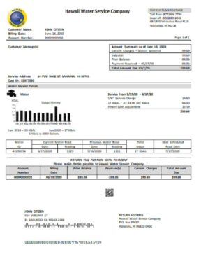 USA Hawaii Water Service Company utility bill template in Word and PDF (.doc and .pdf) format