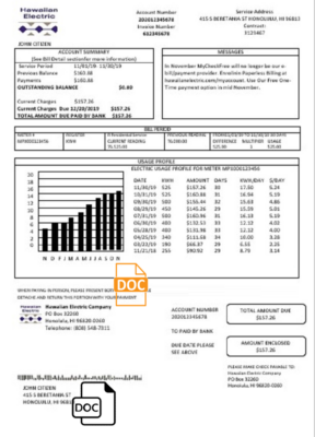 USA Hawaiian Electric utility bill template in Word and PDF format (.doc and .pdf)