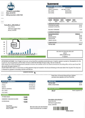 USA Idaho Boise City of Trees water utility bill template in Word and PDF format