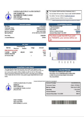 USA Illinois North Park Public Water District IL utility bill template in Word and PDF format (Copy)