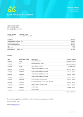 USA Lili Bank Account Statement Template in Word & PDF formats – 2 pages