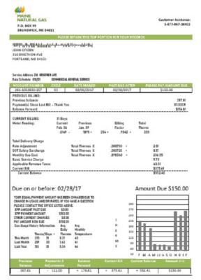 USA Maine Natural Gas Portland utility bill template in Word and PDF format