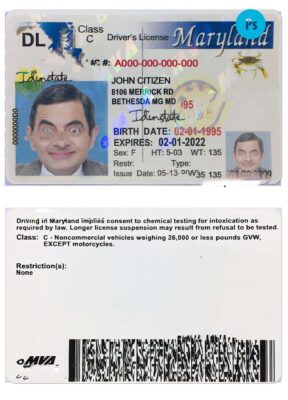 USA Maryland driving license template in PSD format, 2003-2016