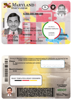 USA Maryland driving license template in PSD format