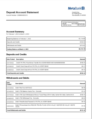 USA MetaBank Bank Account Statement Template in Word & PDF formats – 2 pages