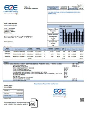 USA Minnesota East Central Energy utility bill template in Word and PDF (.doc and .pdf) format