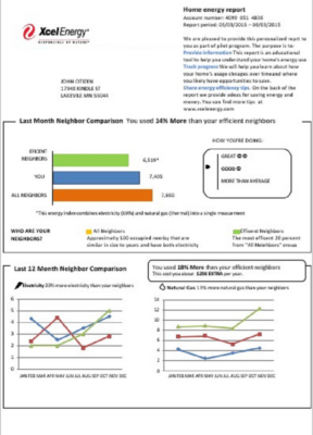 USA Minnesota Xcel Energy utility bill template in Word and PDF format (.doc and .pdf)