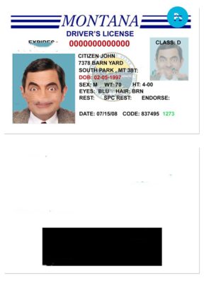 USA Montana driving license template in PSD format, version 3