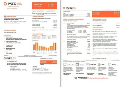 USA New Jersey PSEG electricity utility bill template in Word and PDF format, 2 pages