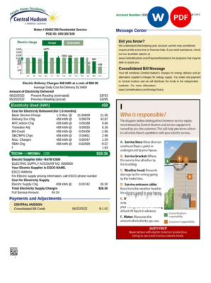 USA New York Central Hudson A fortis company utility bill, Word and PDF template, 2 pages