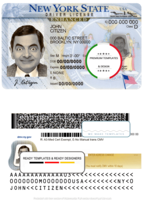 USA New York driving license template in PSD format