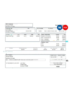 USA New York earnings statement Word and PDF templatev