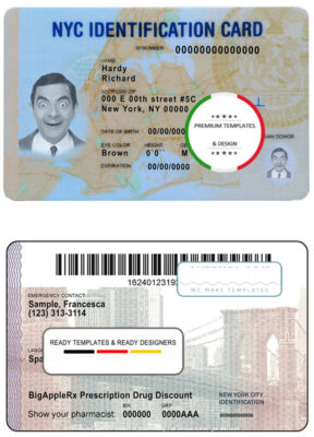 USA New York ID template in PSD format, fully editable