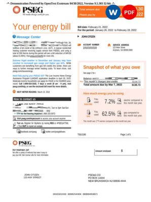 USA New York PSEG utility bill, Word and PDF template, 6 pages