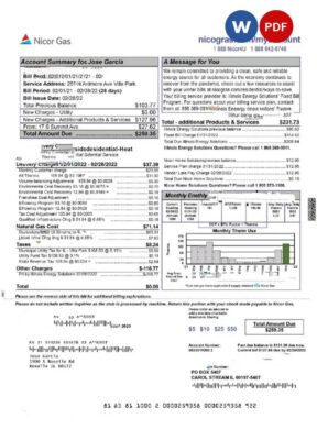 USA NICOR GAS utility bill Word and PDF template