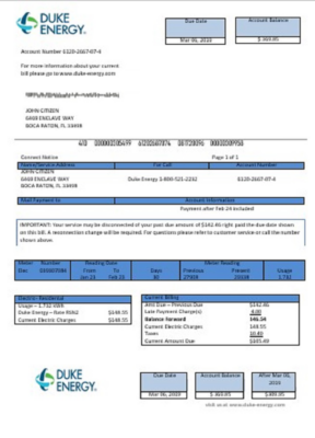 USA North Carolina Duke Energy utility bill template in Word and PDF format