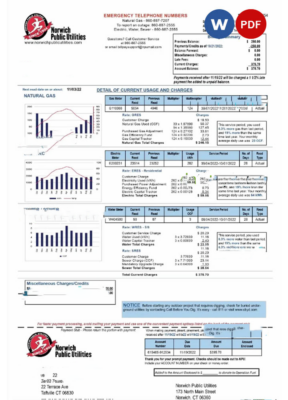 USA NORWICH PUBLIC UTILITIES utility bill Word and PDF template