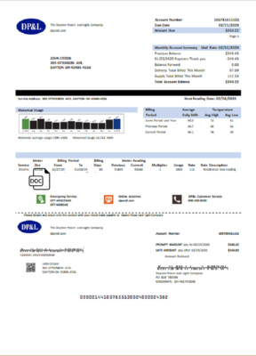 USA Ohio DP&L utility bill template in Word and PDF format