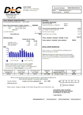 USA Pennsylvania Duquesne light utility bill template in Word and PDF format