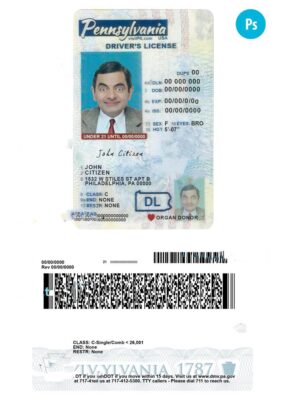 USA Pennsylvania state vertical driving license editable PSD template, under 21