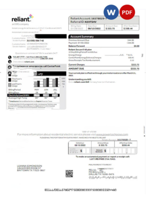 USA Reliant utility bill Word and PDF template