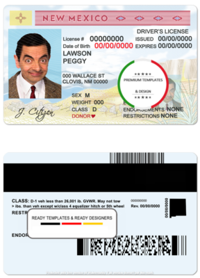 USA State New Mexico driving license template in PSD format