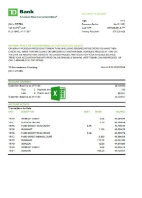 USA TD bank statement template in .xls and .pdf file format