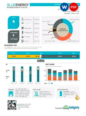 USA Texas Blue Energy utility bill, Word and PDF template