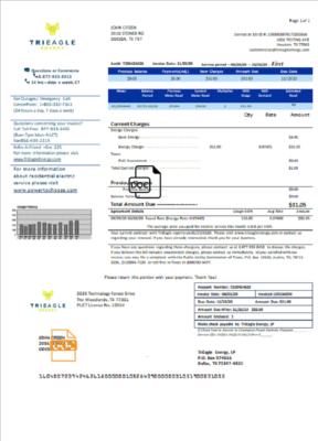 USA Texas TriEagle utility bill template in Word and PDF (.doc and .pdf) format