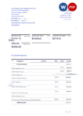 USA WALMART MONEY CARD statement Word and PDF template, version 2