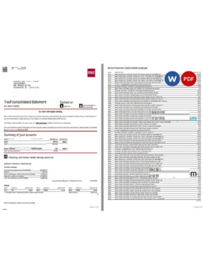 USA Washington BB&T bank statement Word and PDF template, 5 pages