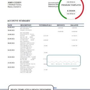 Zimbabwe Stanbic Bank statement template in Word and PDF format